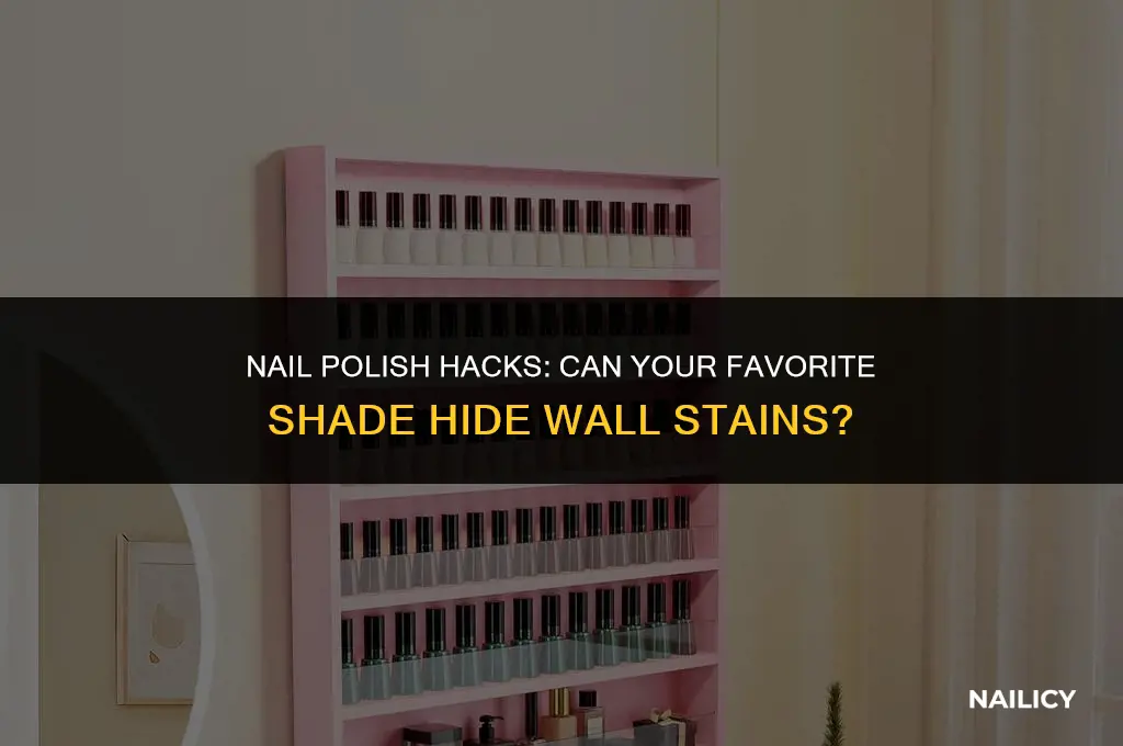 can nail paint cover wall stains