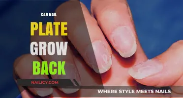 Nail Plate Regeneration: Understanding the Healing Process