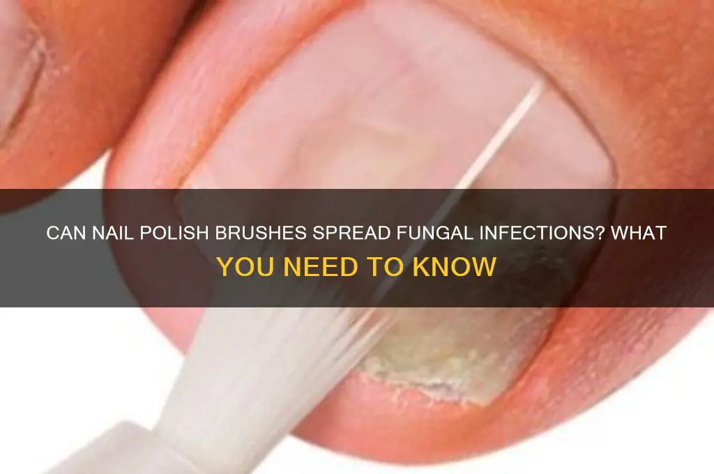 can nail polish brush transmit fungus