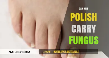 Can Nail Polish Harbor Fungus? Uncovering the Hidden Risks