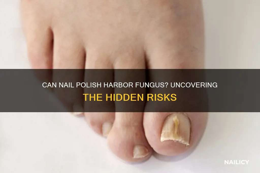can nail polish carry fungus