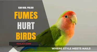 Nail Polish Fumes: Are They Harmful to Your Pet Birds?