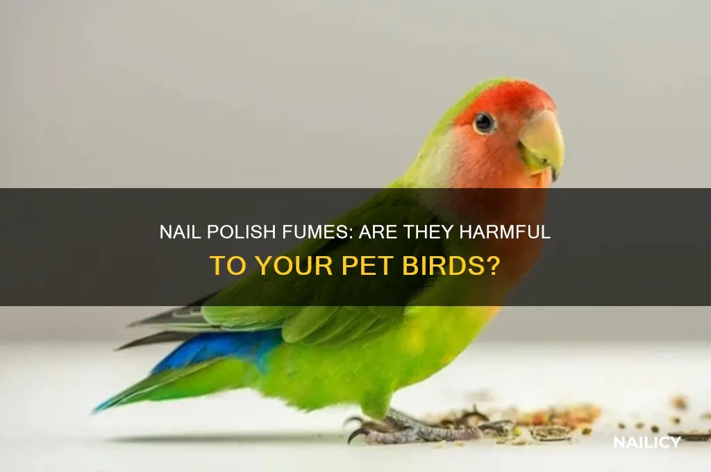 can nail polish fumes hurt birds