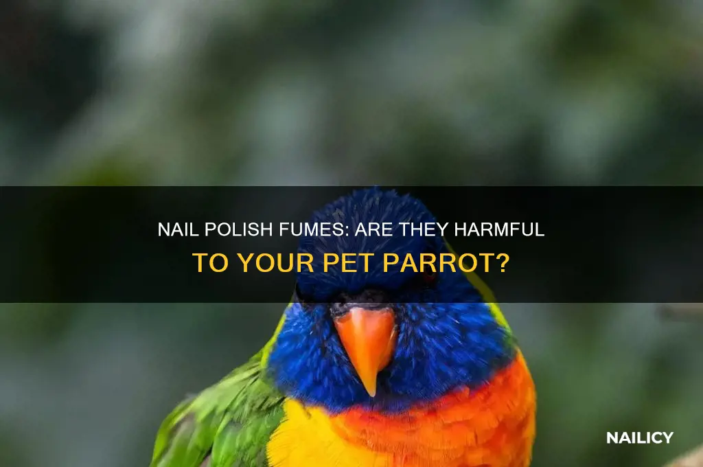 can nail polish fumes hurt parrokeets