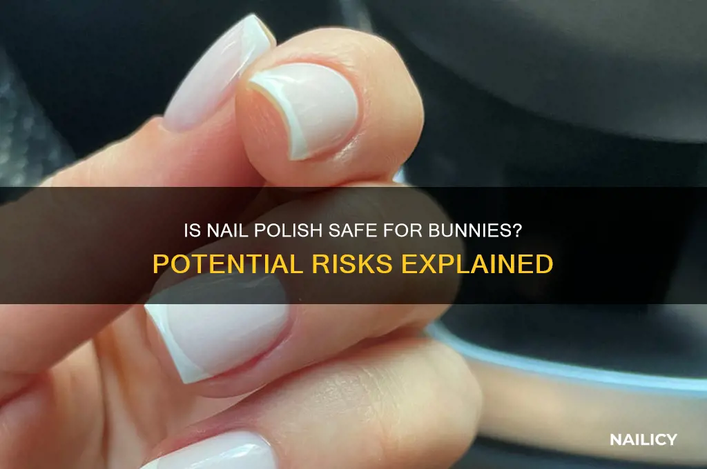 can nail polish harm a bunny