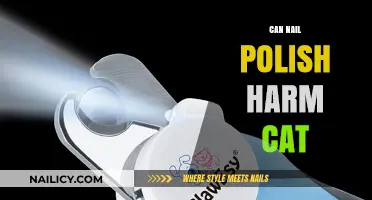 Can Nail Polish Harm Your Cat? Risks and Safety Tips