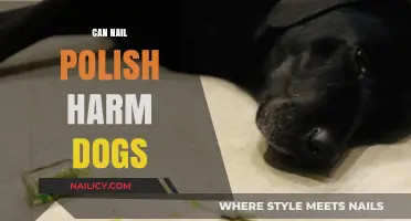 Is Nail Polish Safe for Dogs? Potential Risks Explained
