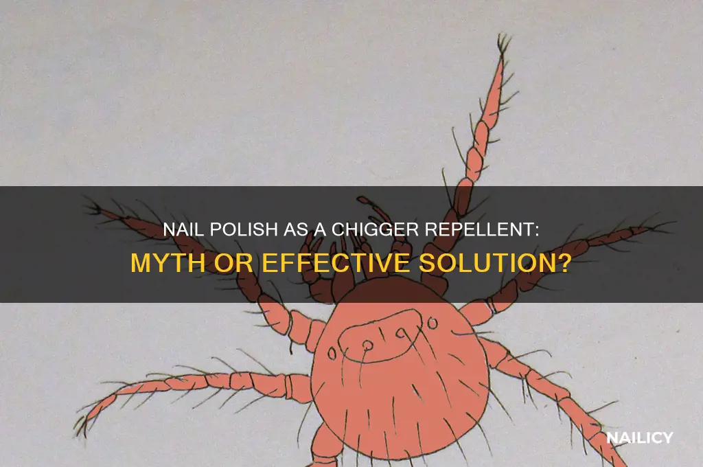 can nail polish kill chiggers