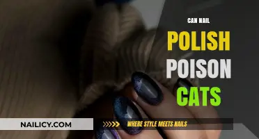 Can Nail Polish Poison Cats? Understanding the Risks and Safety Tips