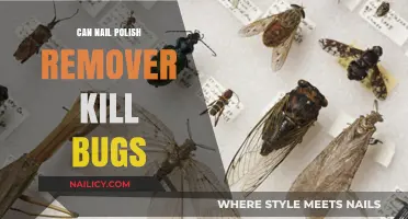 How Nail Polish Remover Can Kill Insects