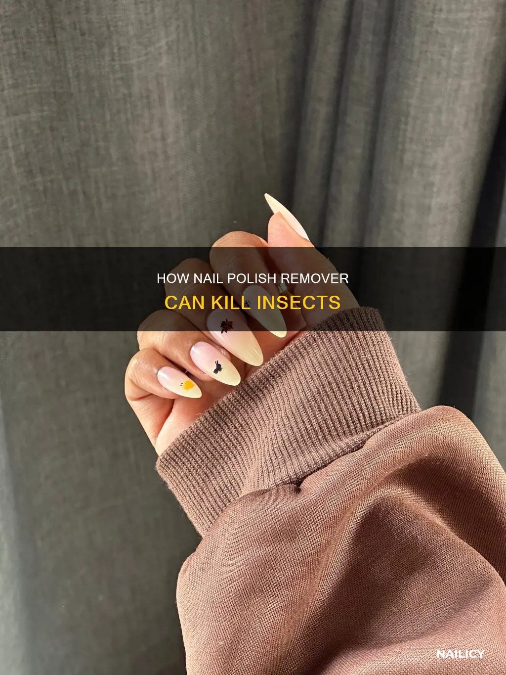 can nail polish remover kill bugs