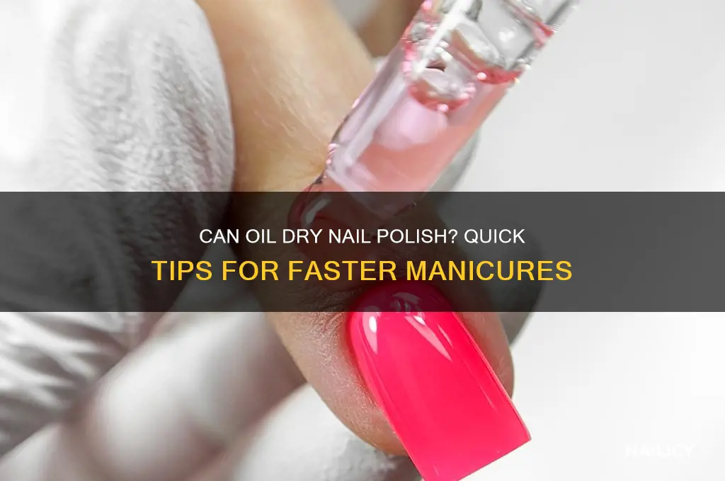 can oil dry nail polish