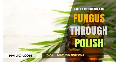 Tea Tree Oil in Nail Polish: Effective Fungus Treatment or Myth?