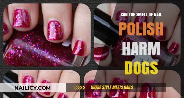 Is Nail Polish Smell Dangerous for Your Dog's Health?