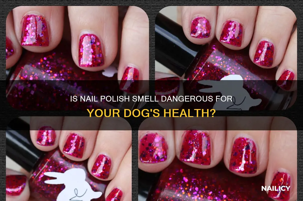 can the smell of nail polish harm dogs