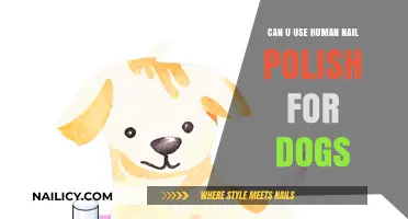 Is Human Nail Polish Safe for Dogs? What You Need to Know