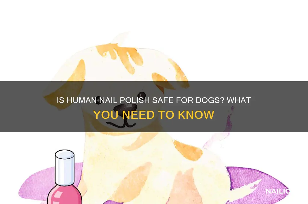 can u use human nail polish for dogs