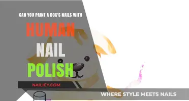 Is Human Nail Polish Safe for Painting Your Dog's Nails?