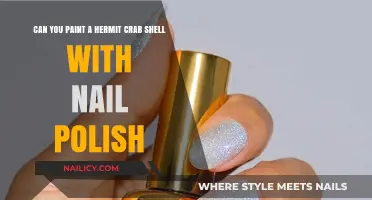 Painting Hermit Crab Shells: Nail Polish Safety and Creative Tips