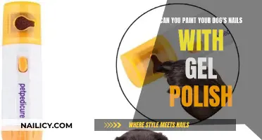 Should You Paint Your Dog's Nails with Gel Polish?