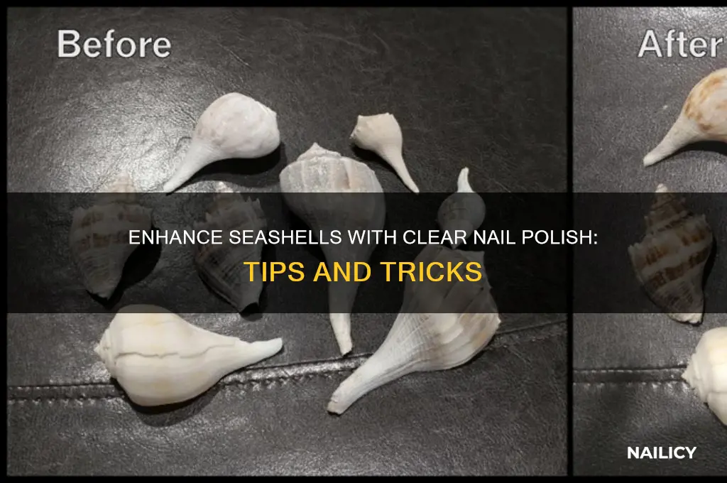 can you put clear nail polish on seashells