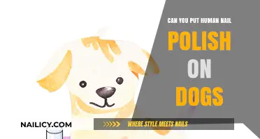 Is Human Nail Polish Safe for Dogs? What You Need to Know