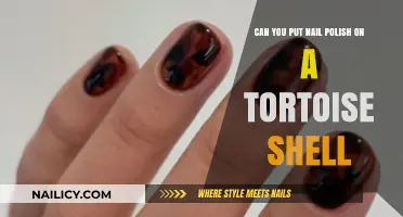 Is It Safe to Apply Nail Polish on Tortoise Shells?