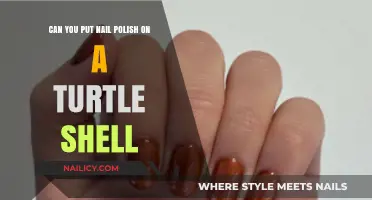 Is It Safe to Paint a Turtle's Shell with Nail Polish?
