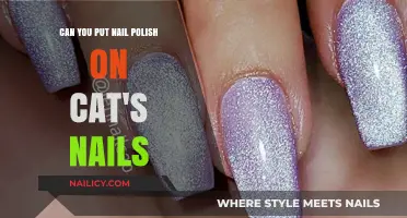 Is It Safe to Paint Your Cat's Nails with Polish?
