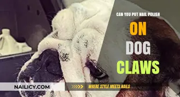 Is It Safe to Paint Your Dog's Claws with Nail Polish?