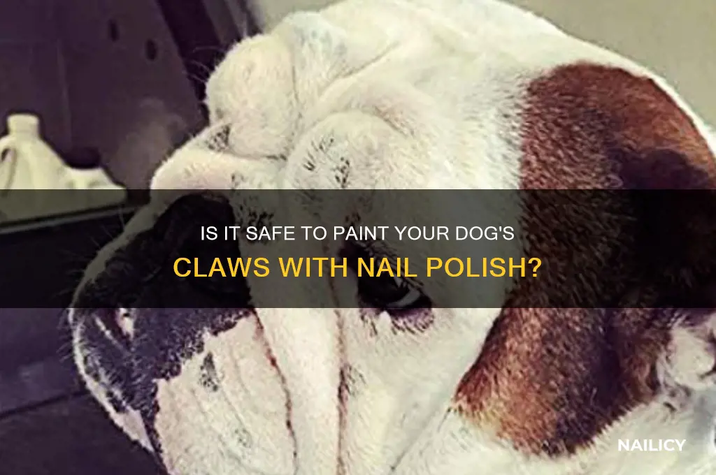 can you put nail polish on dog claws