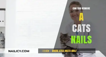 Cat Claw Clipping: Is it Possible to Remove a Cat's Nails?