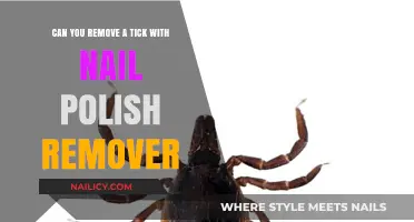 Removing Ticks with Nail Polish: Safe or Not?