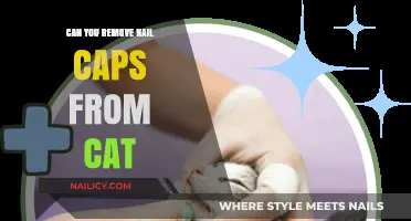 How to Safely Remove Your Cat's Nail Caps