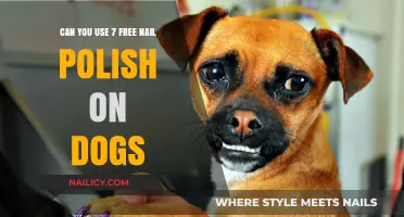 Is It Safe to Use Free Nail Polish on Dogs?