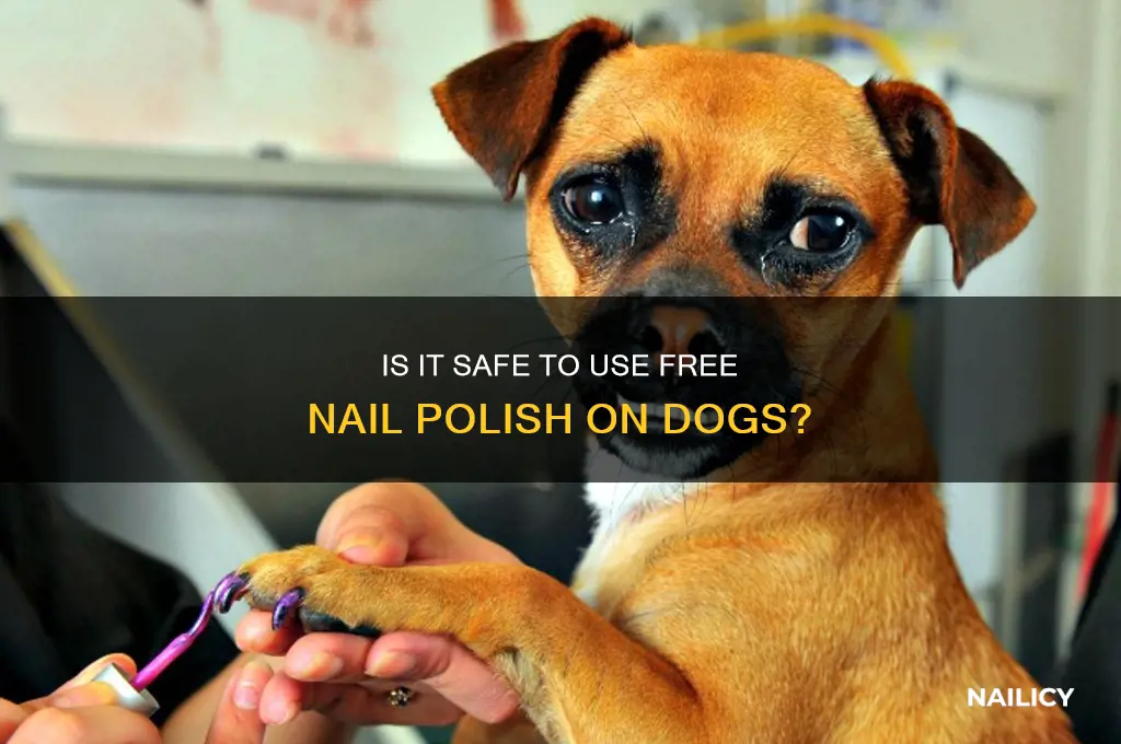 can you use 7 free nail polish on dogs