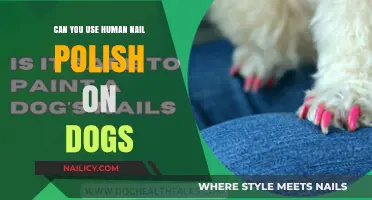 Is Human Nail Polish Safe for Dogs? What You Need to Know