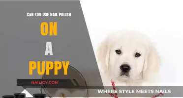 Is It Safe to Use Nail Polish on Puppies? Expert Advice