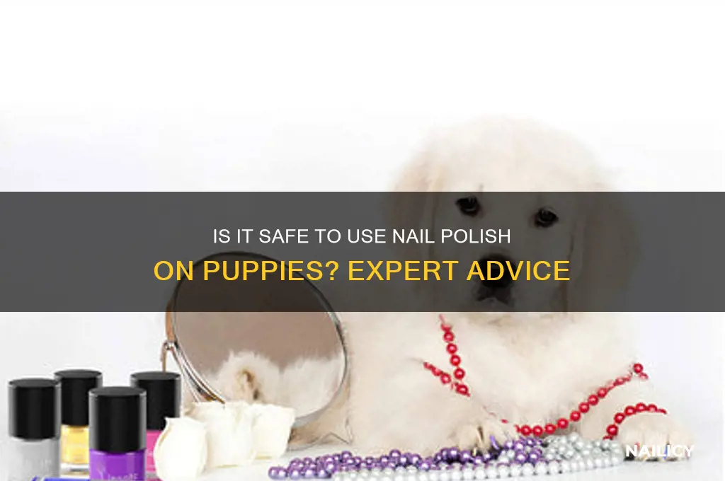 can you use nail polish on a puppy