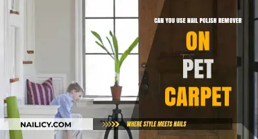 How to Remove Nail Polish from Pet Carpet