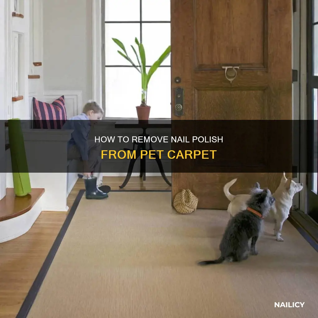 can you use nail polish remover on pet carpet