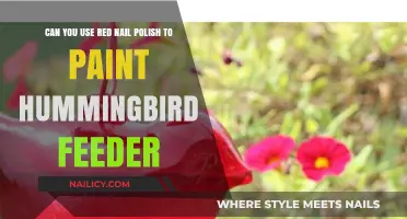 Red Nail Polish for Hummingbird Feeders: Creative or Risky?