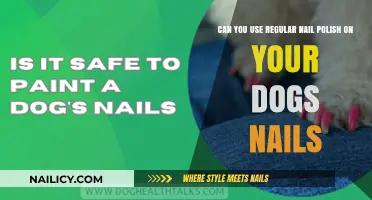 Is Regular Nail Polish Safe for Your Dog's Nails?