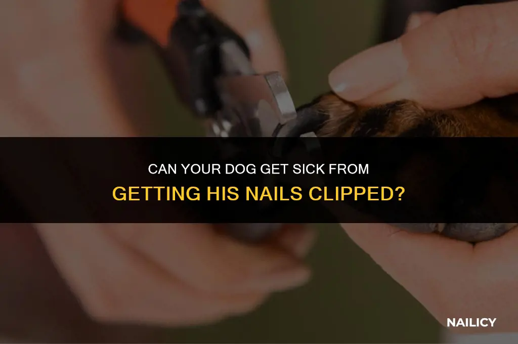 can your dog get sick from getting his nails clipped