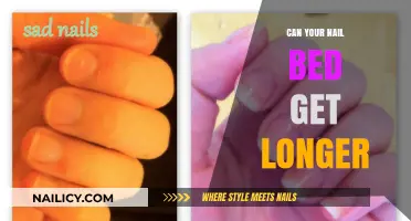 Exploring Nail Health: Can Your Nail Bed Really Get Longer?