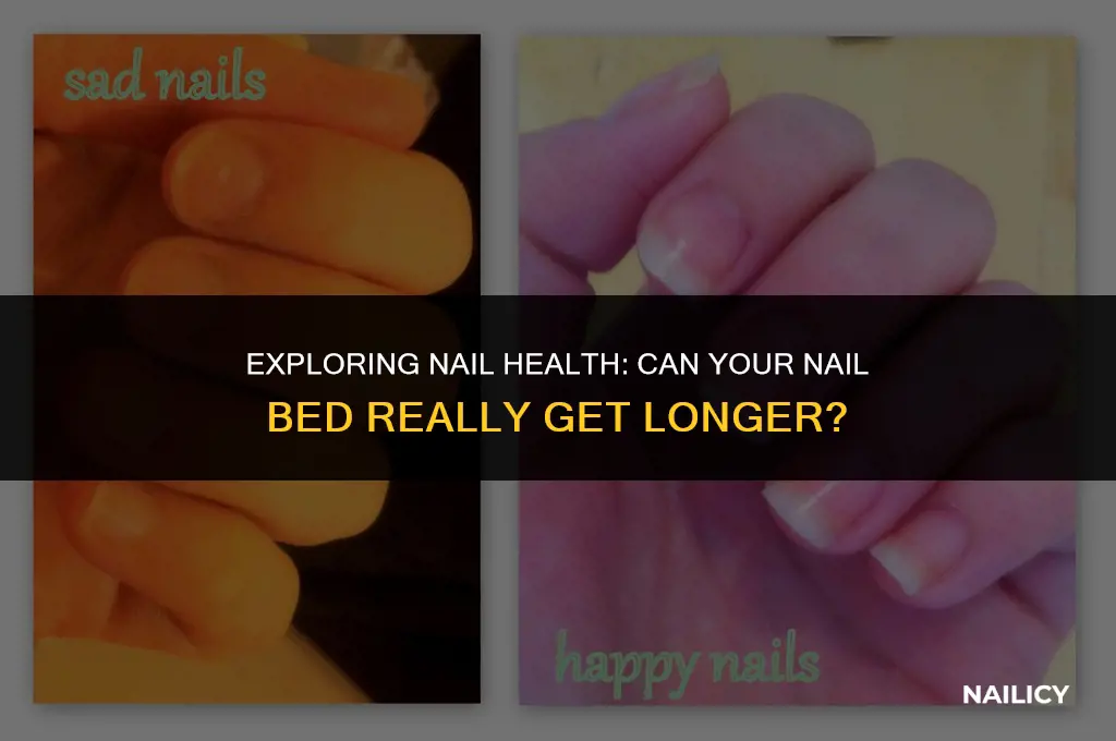 can your nail bed get longer