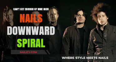 Obsessed with Nine Inch Nails' Downward Spiral: A Deep Dive