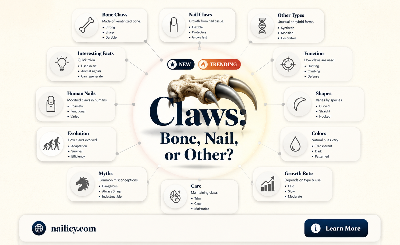are claws made of bone or nail