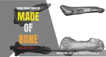 Finger Nails: Bone or Not?