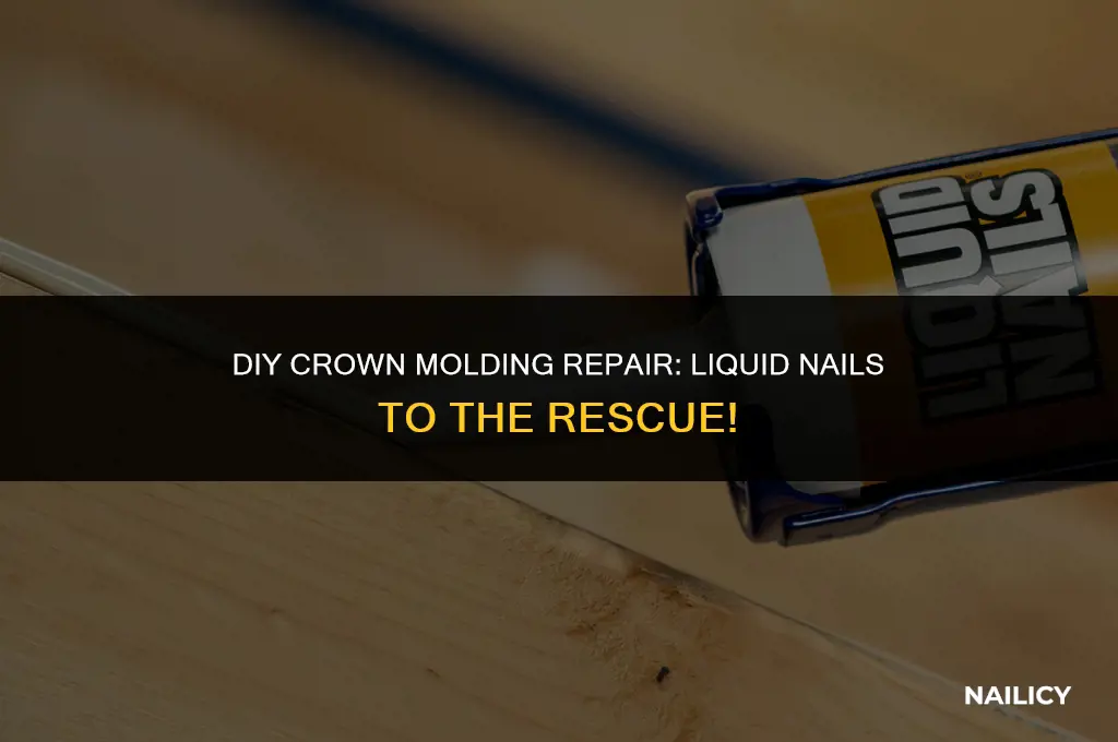 could i use liquid nails to repair crown molding